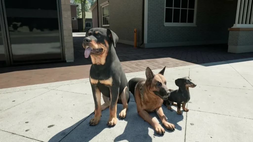 Ranch Simulator oyununda bir evin önünde oturan üç köpek